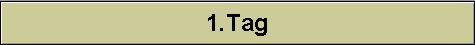 1.Tag