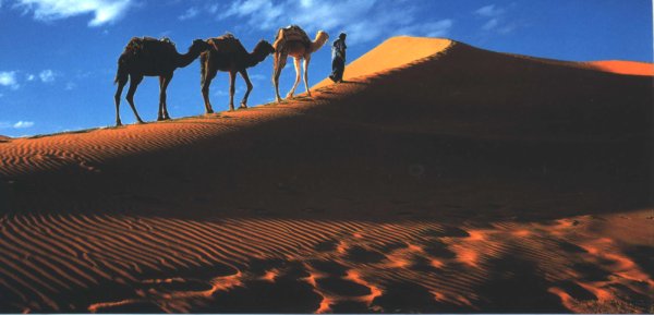 Diese Seite lokal oder fern verï¿½ffentlichen, um die Komponente im Browser anzuzeigen