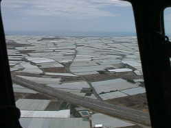 Gem&iuml;&iquest;&frac12;sefelder (Tomaten ...) n&iuml;&iquest;&frac12;he Pamplona