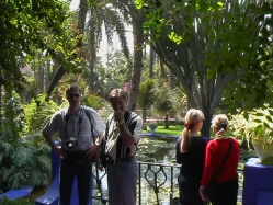 Tropischer Garten mit Gewï¿½chsen aus allen 5 Kontinenten